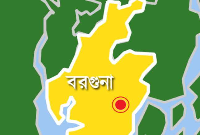 বরগুনায় ডেঙ্গুতে আক্রান্ত ২২২ জন