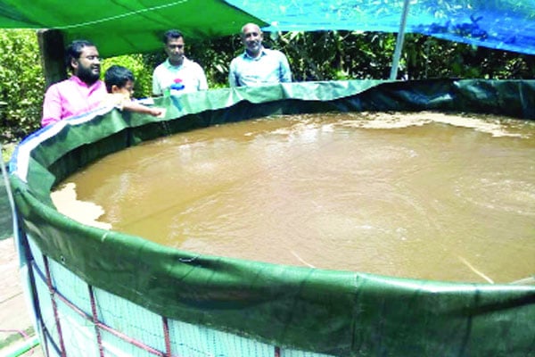 বায়োফ্লোক পদ্ধতিতে দেশি মাছ চাষ