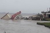 ২৪ ঘণ্টায় স্কুলসহ শতাধিক বাড়ি পদ্মায় বিলীন