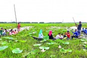 কুমিল্লার পদ্ম বিলে দর্শনার্থীর ভিড়