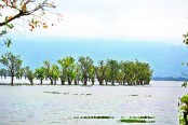 পর্যটকদের অসচেতনতায় হুমকিতে টাঙ্গুয়ার হাওর