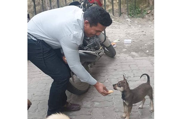 ভালবাসতে না পারেন, আঘাত করেন না দয়া করে!