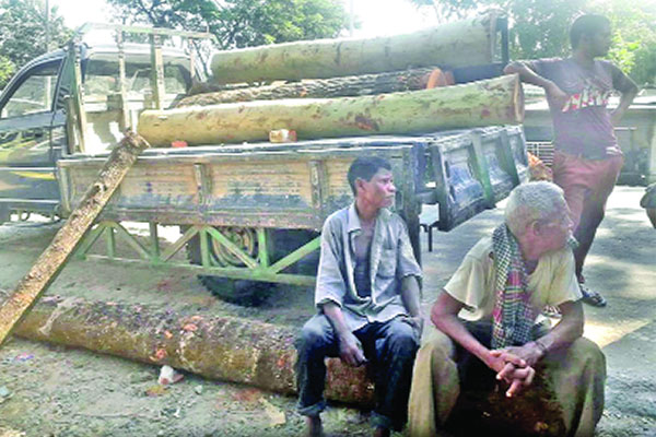 সিলেটে শাহী ঈদগাহের গাছ কেটে গোপনে বিক্রি