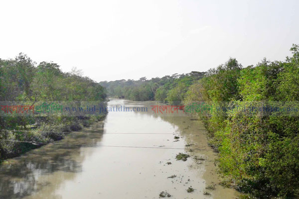 বুধবার সুন্দরবন পরিদর্শনে আসছে জাতিসংঘের যৌথ মিশন