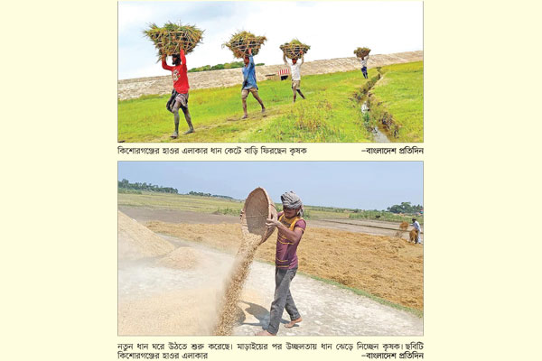 নতুন ধানে নতুন স্বপ্ন