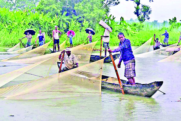 পরিকল্পিত পোনা সংগ্রহ হালদায়