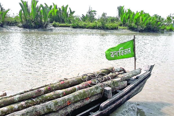 করোনাকালে উজাড় হচ্ছে সুন্দরবন