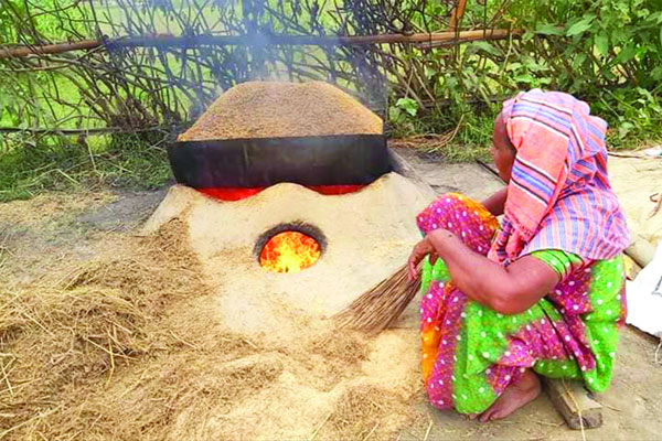 কৃষকের মুখে হাসি হাওরে