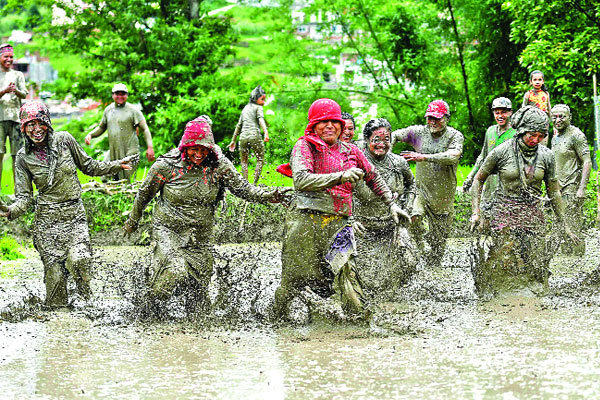 জাতীয় ধান দিবস