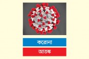 টেলিমেডিসিনে ঝুঁকছে রোগীরা