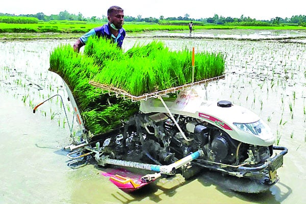 জনপ্রিয় হচ্ছে রাইস ট্রান্সপ্লান্টার