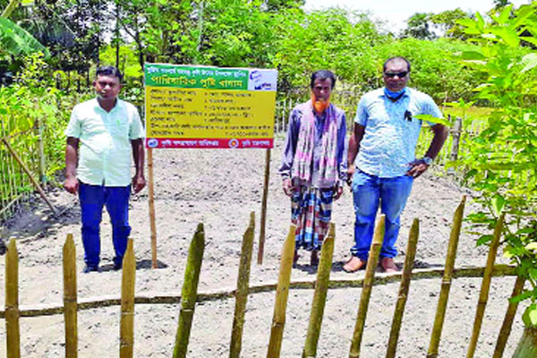 জনপ্রিয় হচ্ছে পারিবারিক পুষ্টি বাগান