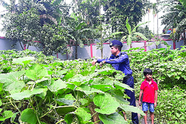 থানার পাশে পরিত্যক্ত জমিতে সবজি চাষ