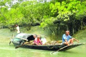 সুন্দরবনে ফের মাছ- কাঁকড়া আহরণ শুরু