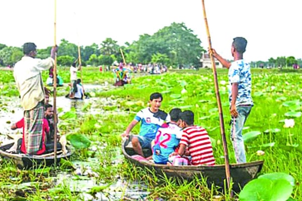 পদ্ম বিলে প্রকৃতি সেজেছে অপরূপ সৌন্দর্যে