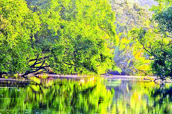 সুন্দরবনে ছুটছেন পর্যটকরা