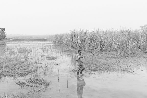 স্বপ্নভঙ্গ তিন হাজার কৃষকের