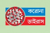 ৭৬ দিনের মধ্যে সর্বোচ্চ শনাক্তের হার