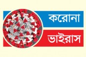 মৃত ১৭ জনের সবাই চল্লিশোর্ধ্ব