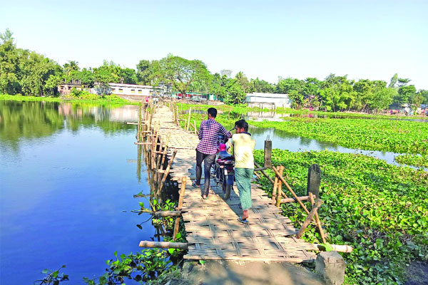 ৫০ বছর ধরে বাঁশের সাঁকো