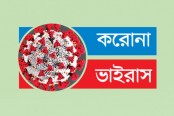 শনাক্তের সঙ্গে বাড়ল মৃত্যু