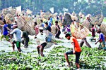 বিশ্বনাথে পলো উৎসবে মেতেছিল মানুষ