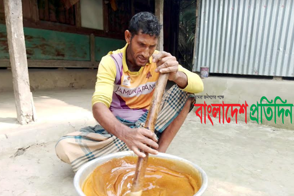 পটুয়াখালীতে গোলগাছে সফলতা 