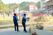 নাস্তা করতে গিয়ে প্রাণ গেল আলোর