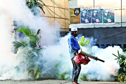 ওষুধ ছিটাই, মরে না মশা