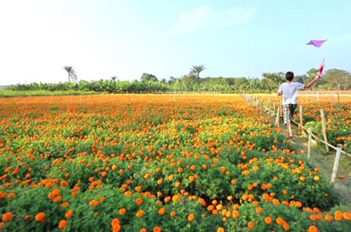 এ যেন ফুলের সাম্রাজ্য