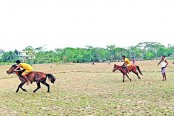 কলাপাড়ায় ঘোড়দৌড় প্রতিযোগিতা