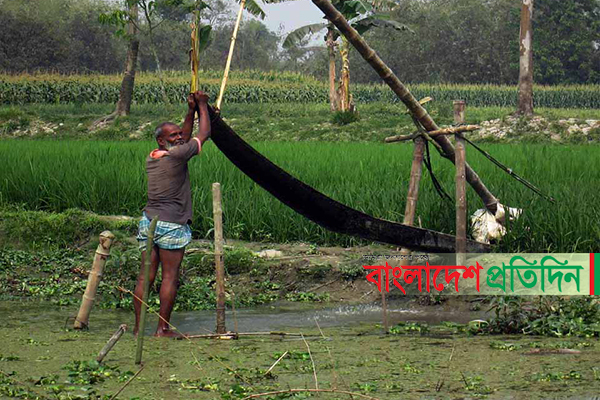 দিনাজপুরে সেঁউতি-ডোঙার ব্যবহার এখনো হারায়নি