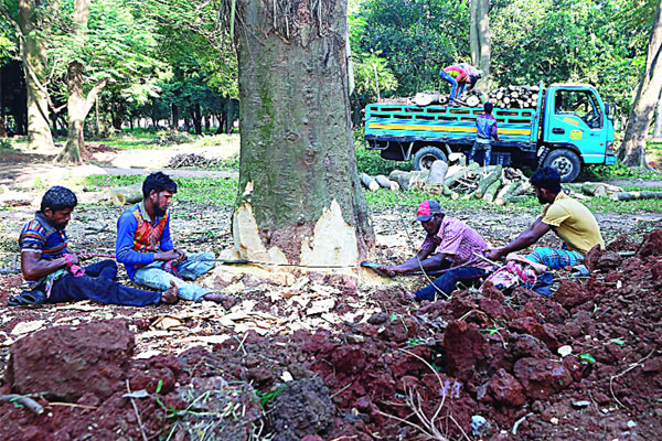 সোহরাওয়ার্দী উদ্যানে গাছ কাটা নিয়ে প্রতিবাদ বিক্ষোভ