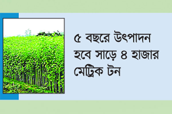 পাটবীজে স্বয়ংসম্পূর্ণ হচ্ছে বাংলাদেশ