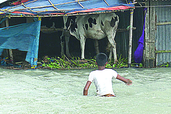 পানিতে ভাসছে উপকূল