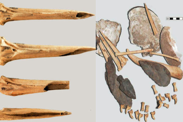 বিশ্বের প্রাচীনতম ট্যাটু আঁকার যন্ত্র আবিষ্কার
