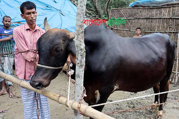 ‘বিগ বস’ দেখতে মানুষের ভিড়, ওজন সাড়ে ১২শ কেজি