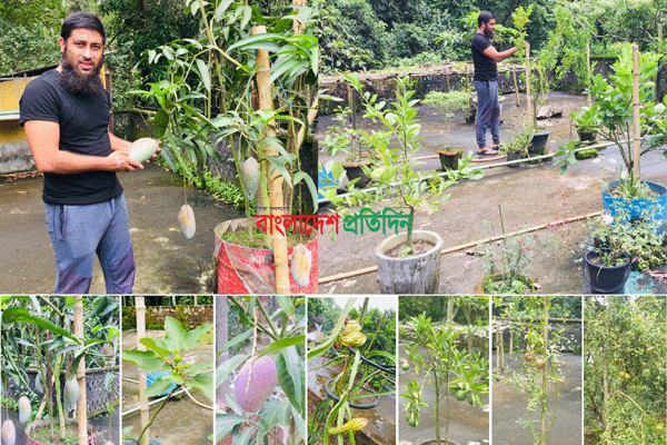 শখের ছাদ বাগানে মিটছে পরিবারের পুষ্টি চাহিদা