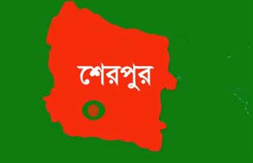 শিয়ালের একি কান্ড !