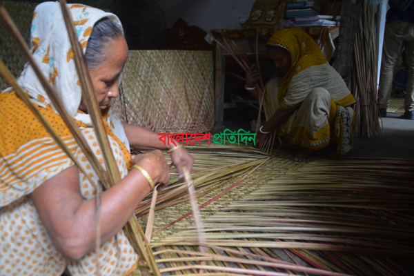 কুমিল্লার ১০ গ্রামে হোগলা পাতার পাটি তৈরির উৎসব