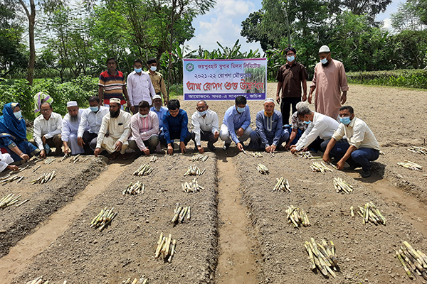 জয়পুরহাট চিনিকলের আখ রোপণ কার্যক্রমের উদ্বোধন