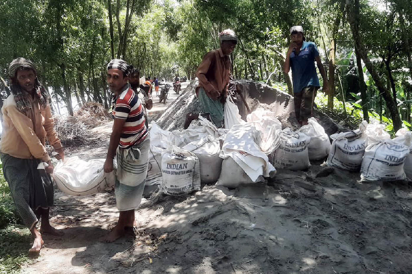 ধুনটে যমুনার পানি চুয়ে বাঁধ ভাঙার শঙ্কা, রক্ষার চেষ্টা