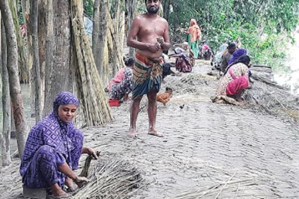 মানিকগঞ্জে পাটের আঁশ ছাড়াতে ব্যস্ত গৃহিণীরা