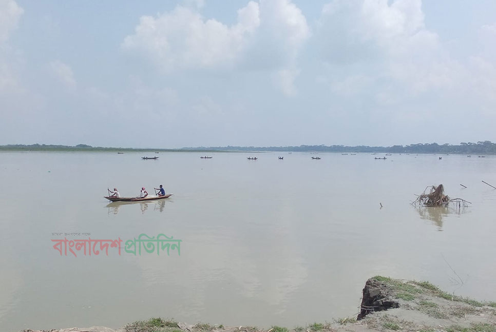 নিষেধাজ্ঞা অনেকাংশে অকার্যকর, দিনে-রাতে চলছে ইলিশ নিধন