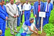 নয়াদিল্লিতে বাংলাদেশ হাইকমিশনে ১০০ বৃক্ষ রোপণ