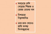 এক মাসে ৯ খাদ্যপণ্যের দাম বেড়েছে ৪০ শতাংশ পর্যন্ত