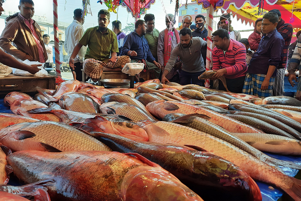 নবান্ন উৎসবে মাছের মেলা