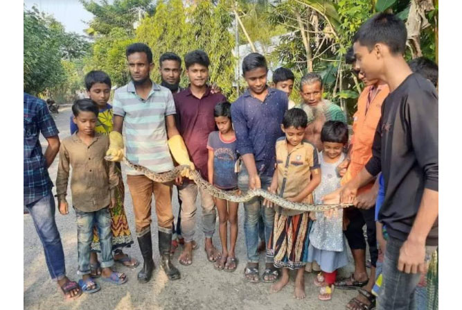 ৪০টি বাঘসহ ২০০ বন্যপ্রাণির জীবন বাঁচিয়েছেন সুন্দরবনের প্রকৃতি প্রেমী আলম