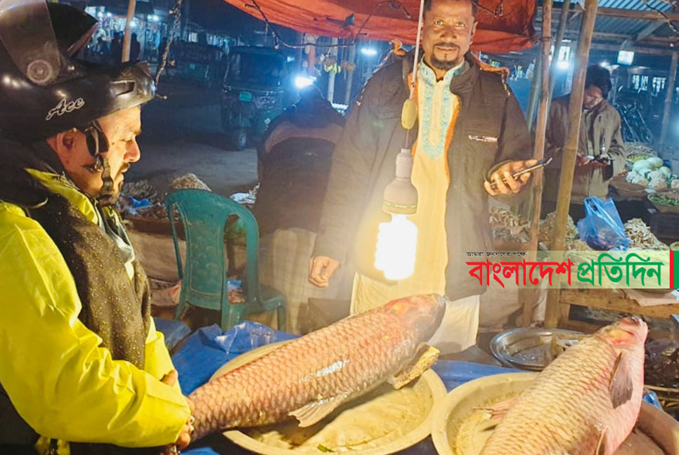 মহাবিপন্ন মহাশোল, বিক্রি হলো ১৫ হাজারে