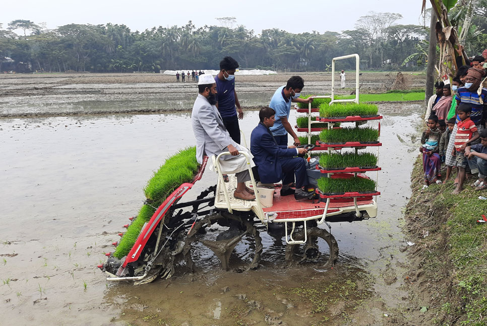 ভোলায় রাইস ট্রান্সপ্লান্টের মাধ্যমে ধানের চারা রোপণ উদ্বোধন